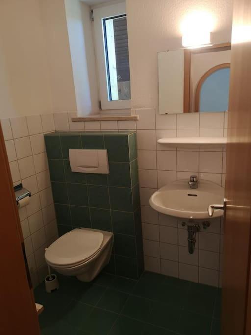 Grosszuegiges Haus Angrenzend An Naturschutzgebiet Immenstadt im Allgäu Exterior photo